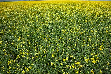 Netflix游戏负责人：8岁小孩不想着要PS6