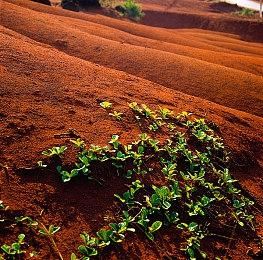 《毁灭战士》Mod衍生游戏《Total Chaos》延期