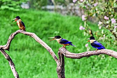 科隆：《铁拳8》明年1＆26发售 新游戏模式揭晓