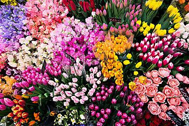 杉果“新春特惠”现已开启！《无主之地3》秒杀价¥14.9